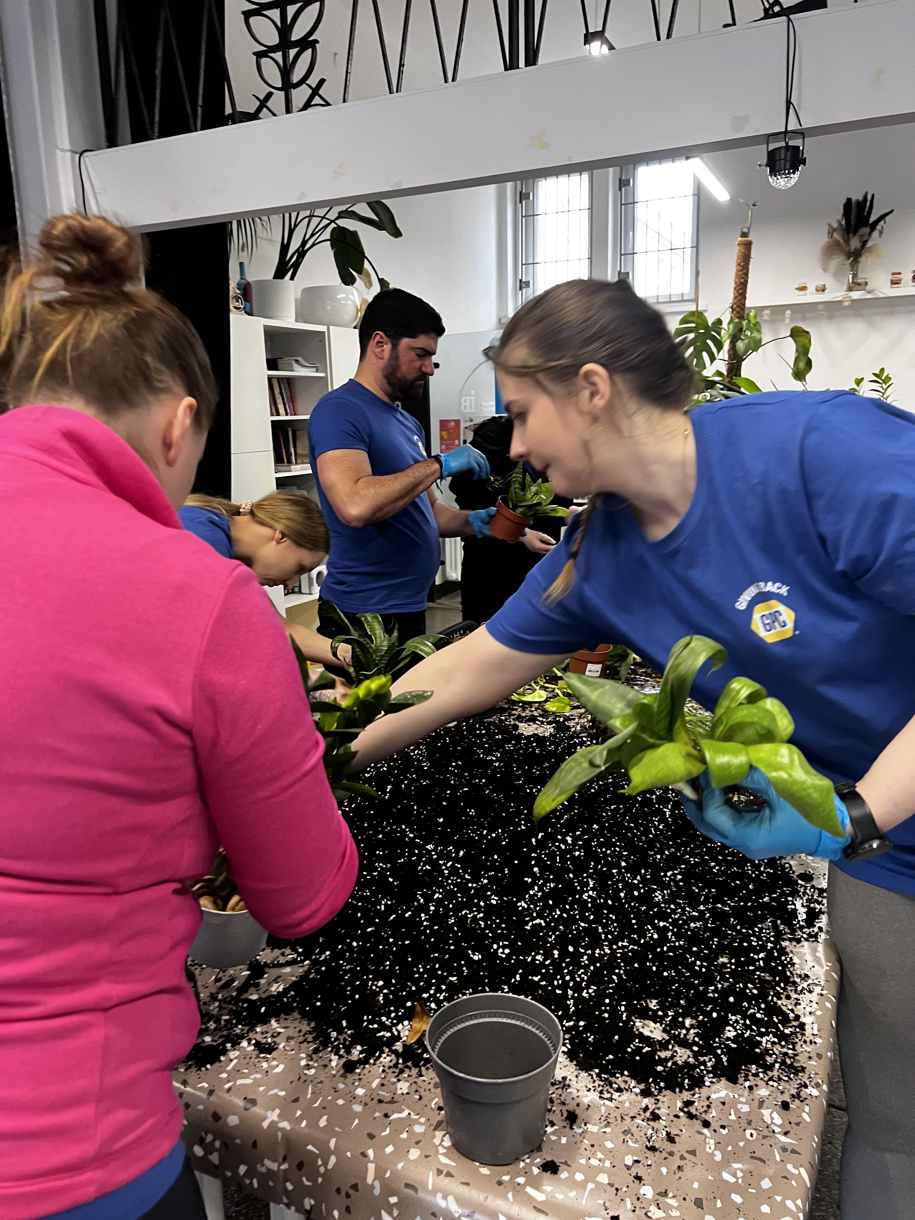 Zespół fundacji przy pracy