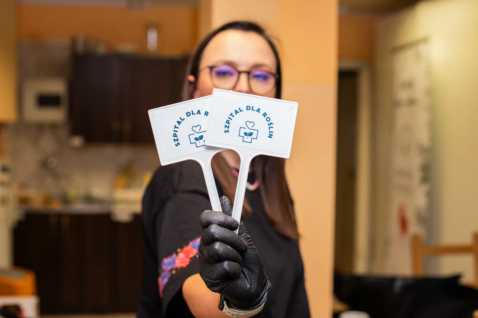 Rośliny doniczkowe w Szpitalu dla Roślin Fundacji Czerwony Krakowiak