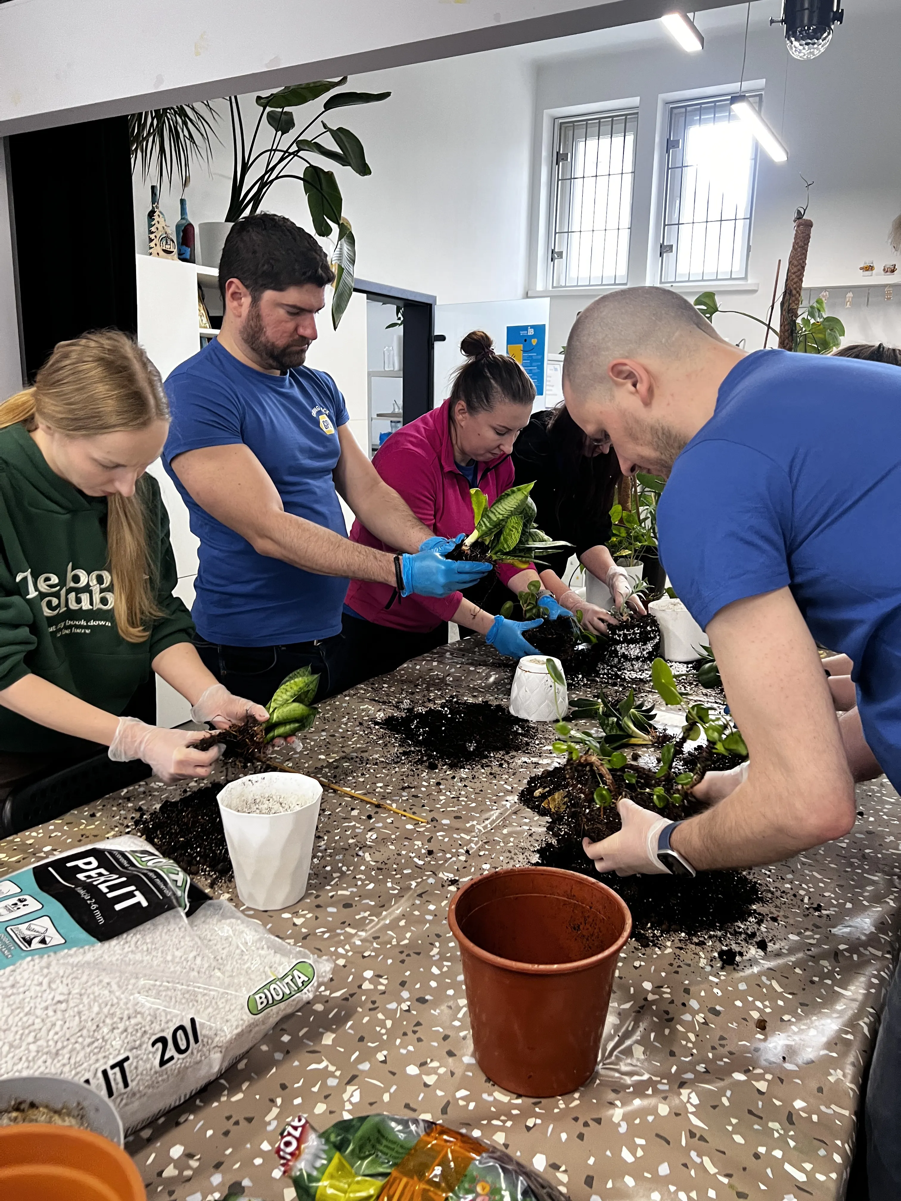 Grupa uczestników podczas warsztatów przesadzania roślin w Krakowie