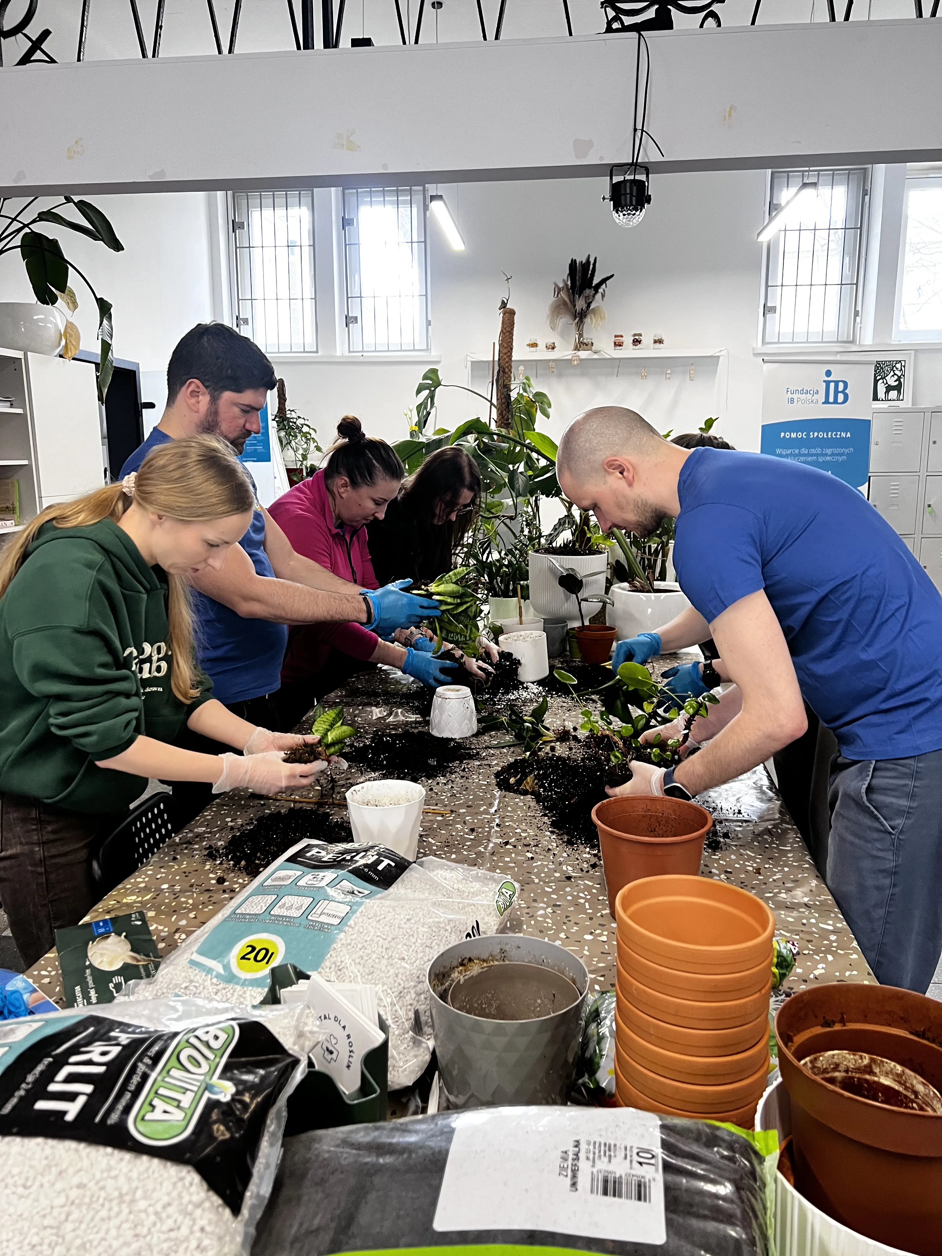 Przesadzanie roślin w pracowni Fundacji Czerwony Krakowiak w Krakowie