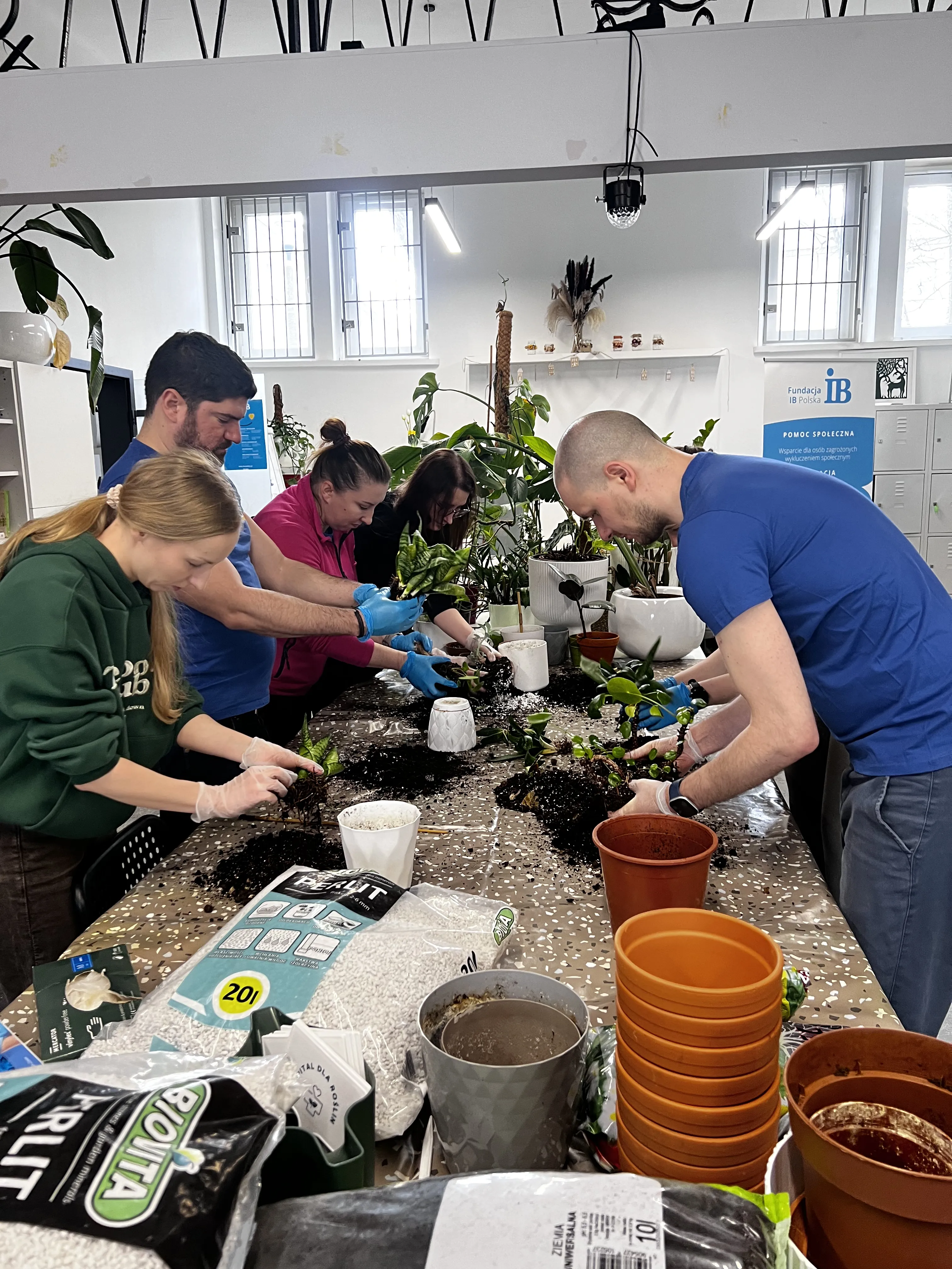 Sala do przesadzania roślin w Fundacji Czerwony Krakowiak