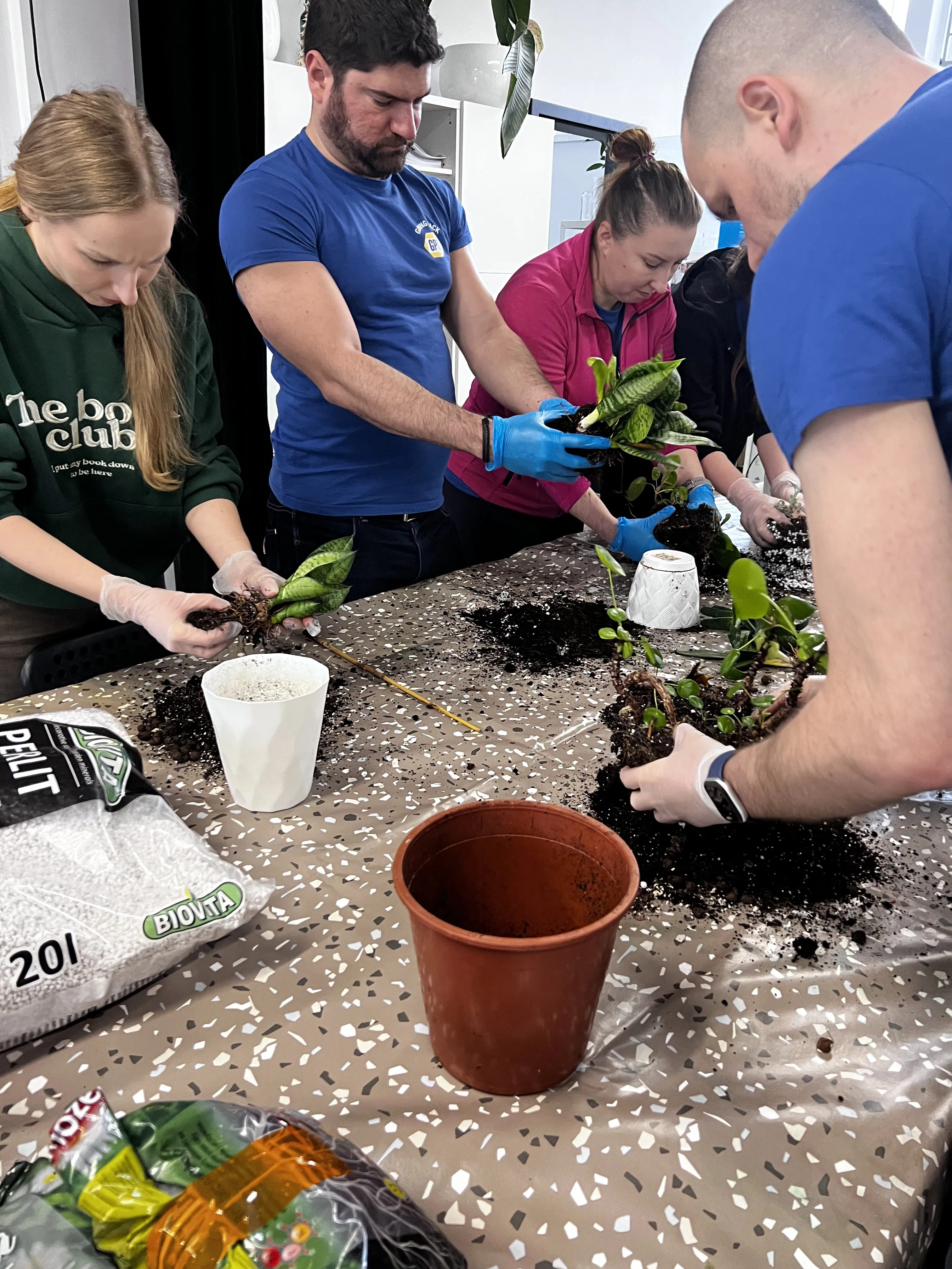 Zbliżenie na ręce podczas przesadzania roślin
