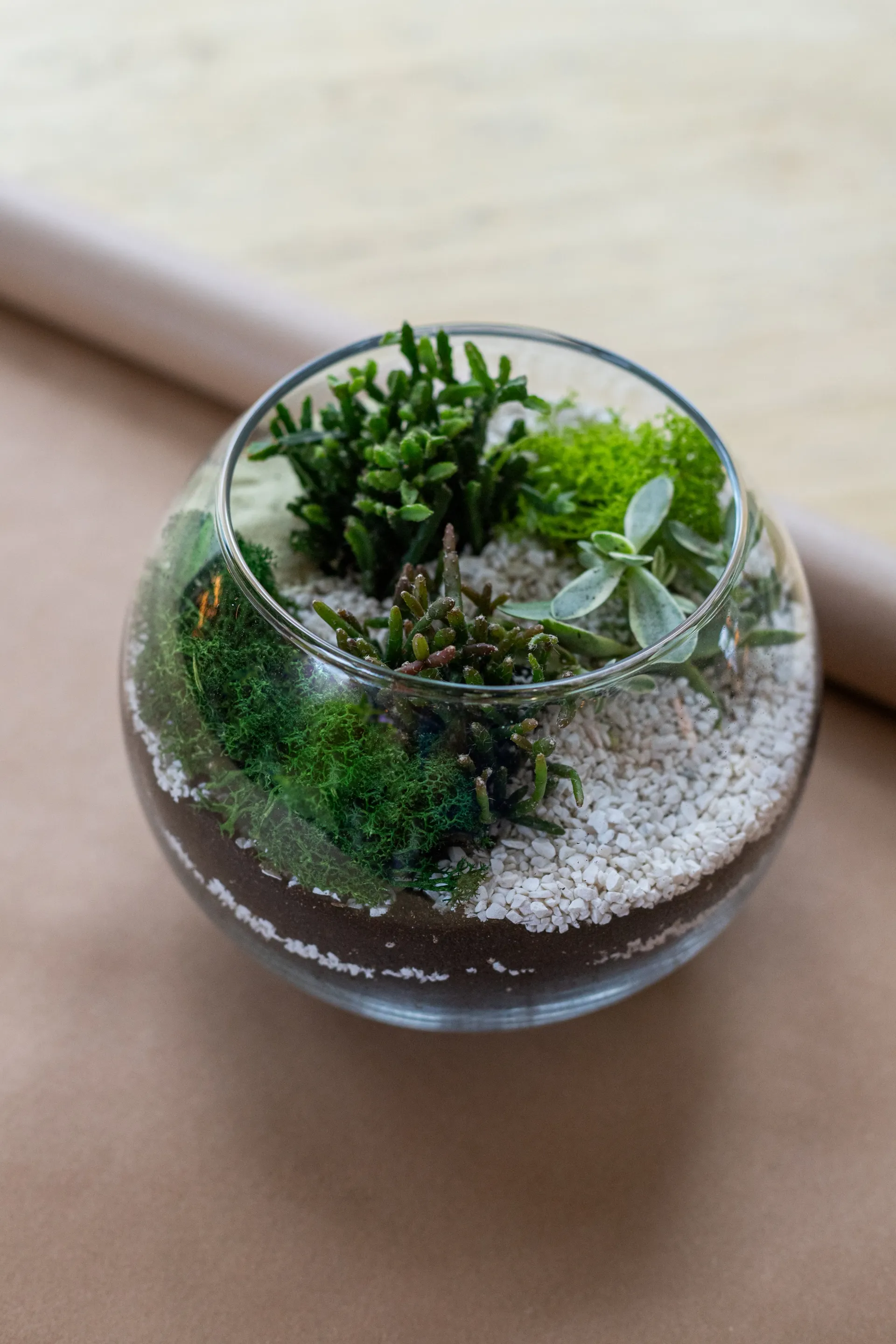 Warsztaty roślinne na evencie firmowym