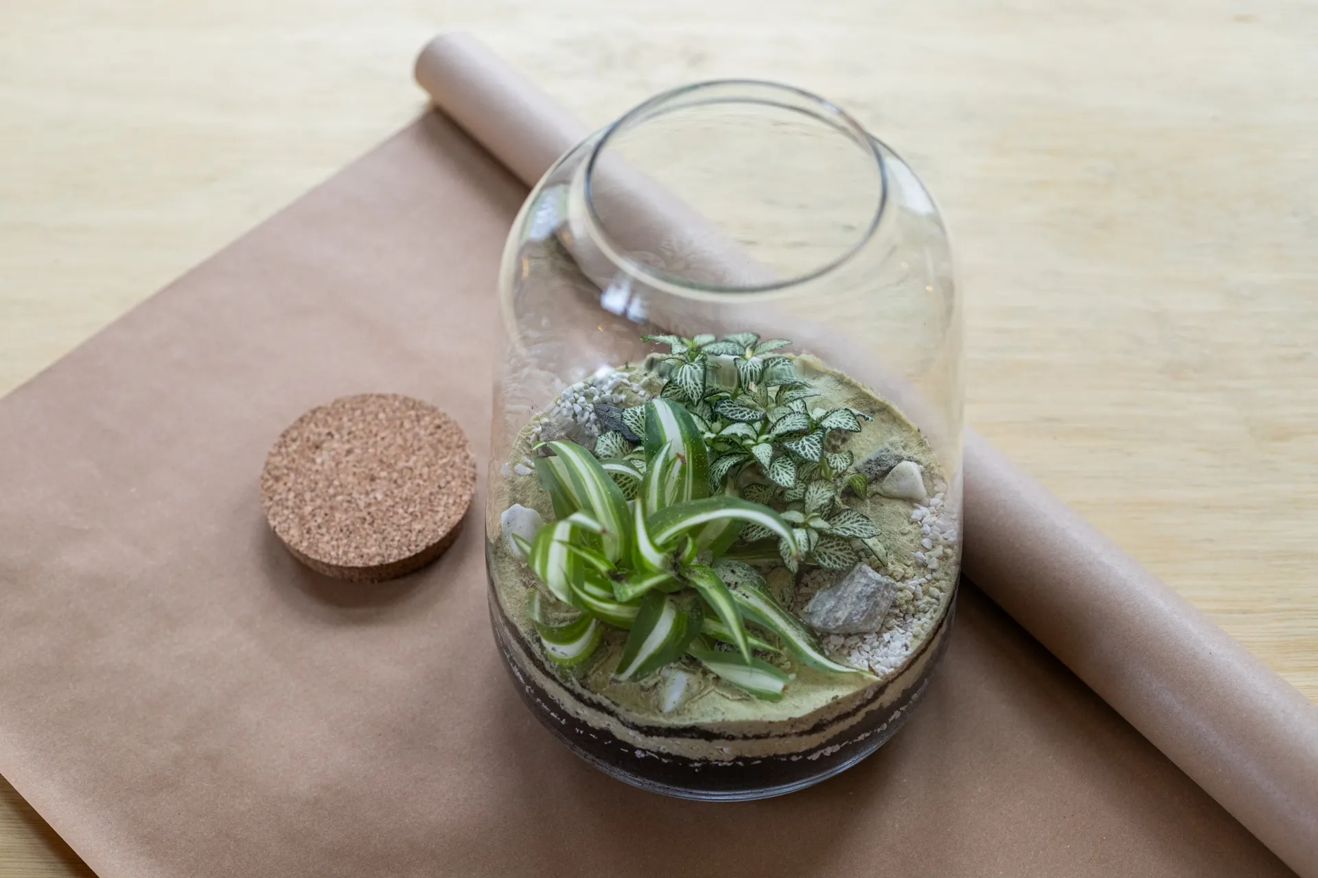 Warsztaty tworzenia ogrodu w słoju