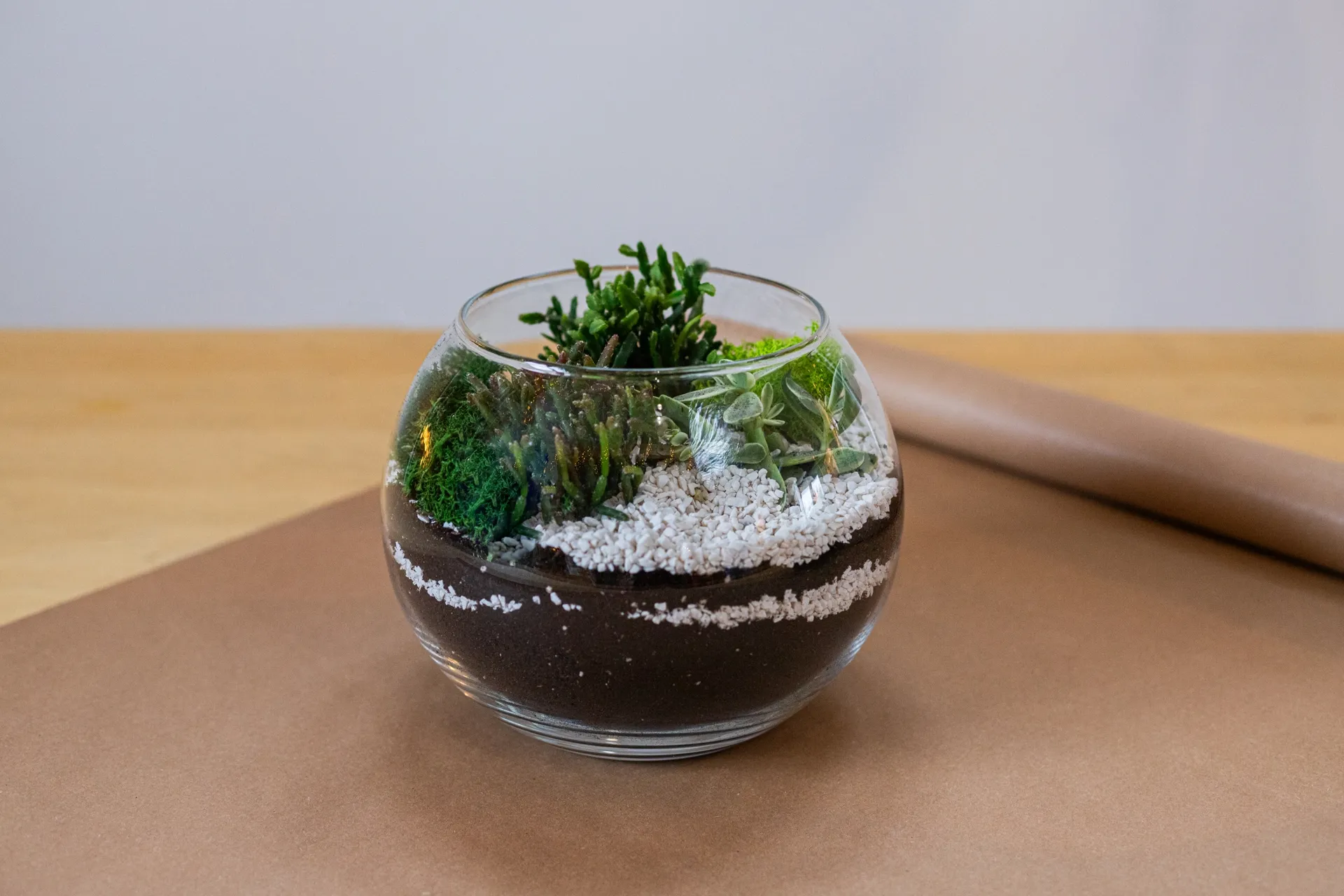 Warsztat tworzenia kompozycji z sukulentów w szkle