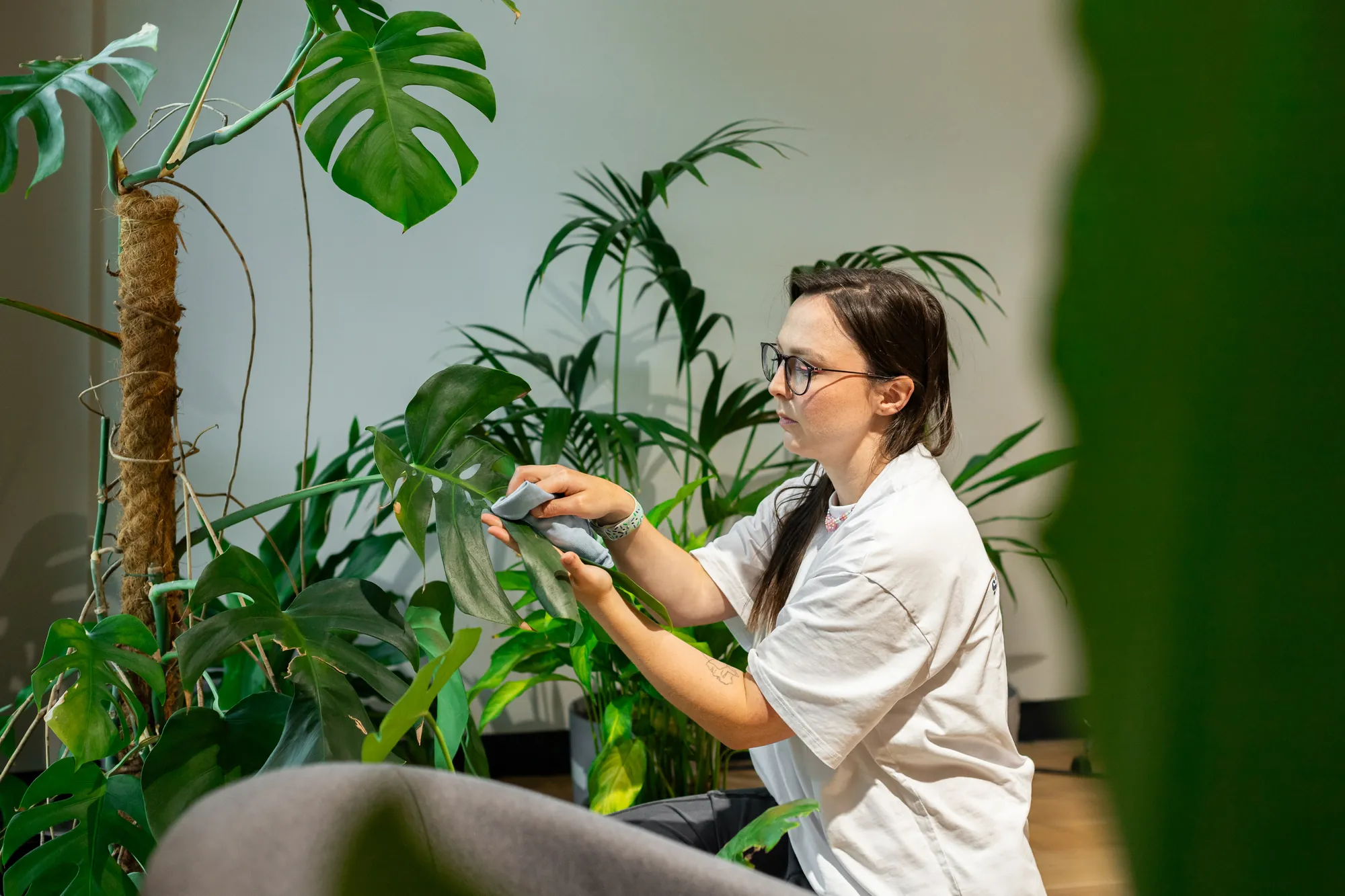 Wycieranie liści ściereczką wśród monstery i palm w Domu Utopii